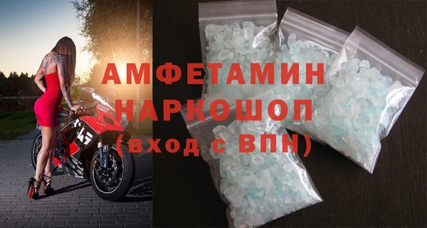 молекула духа Богданович